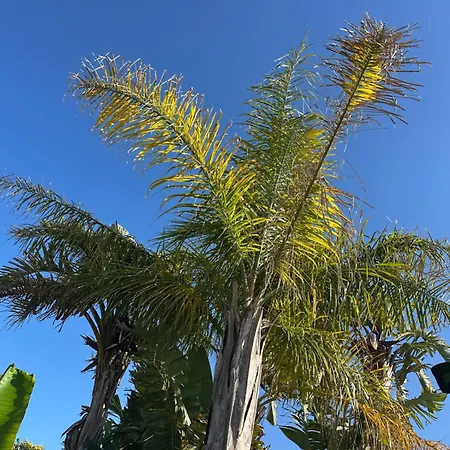 Bed & Breakfast Mavi Yengec Butik