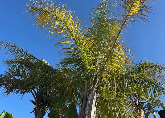 Panzió Mavi Yengec Butik