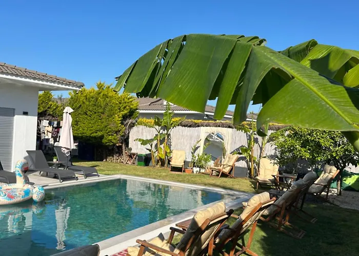 Mavi Yengec Butik 3*